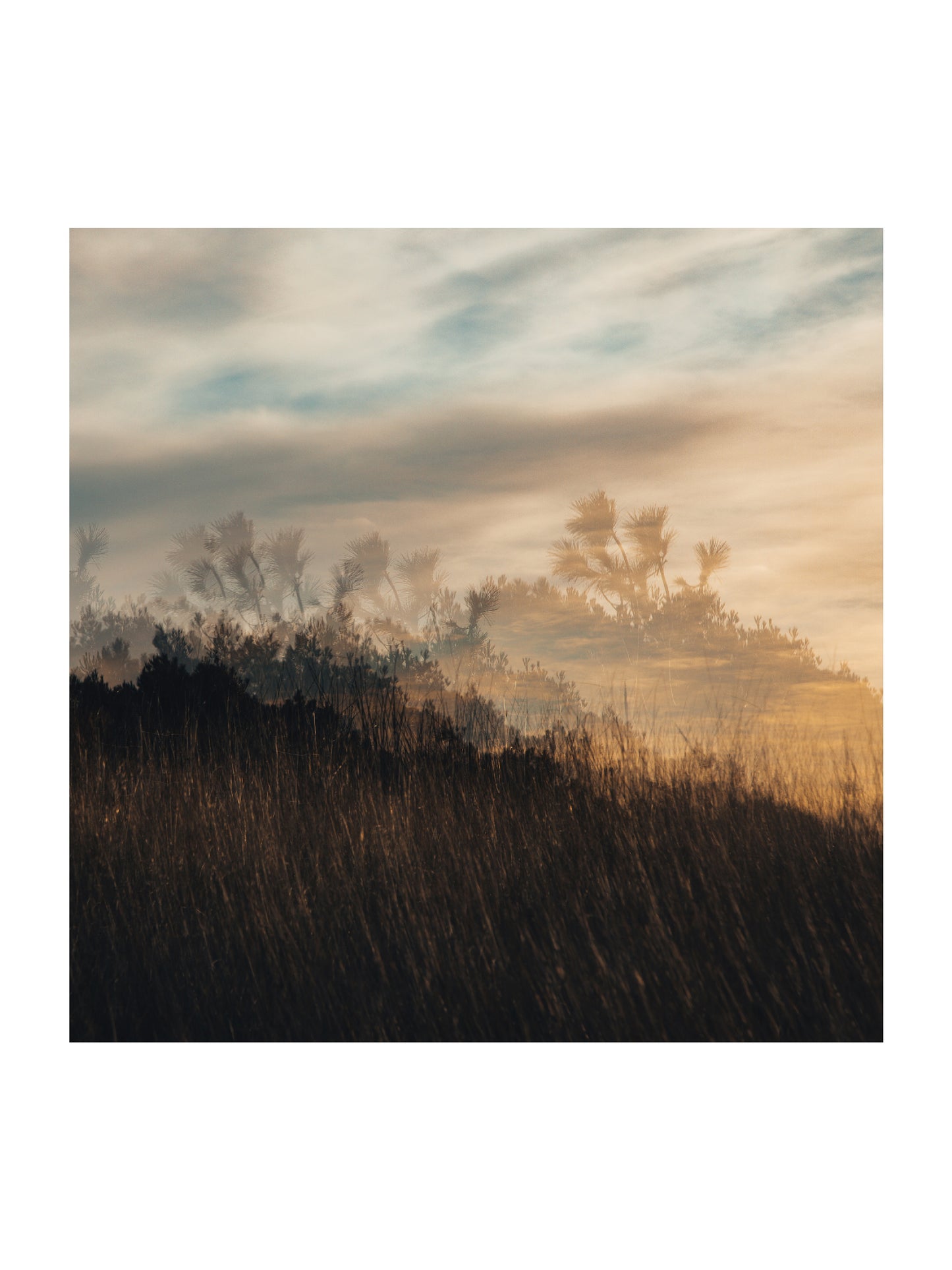 Variation sur les Dunes 1