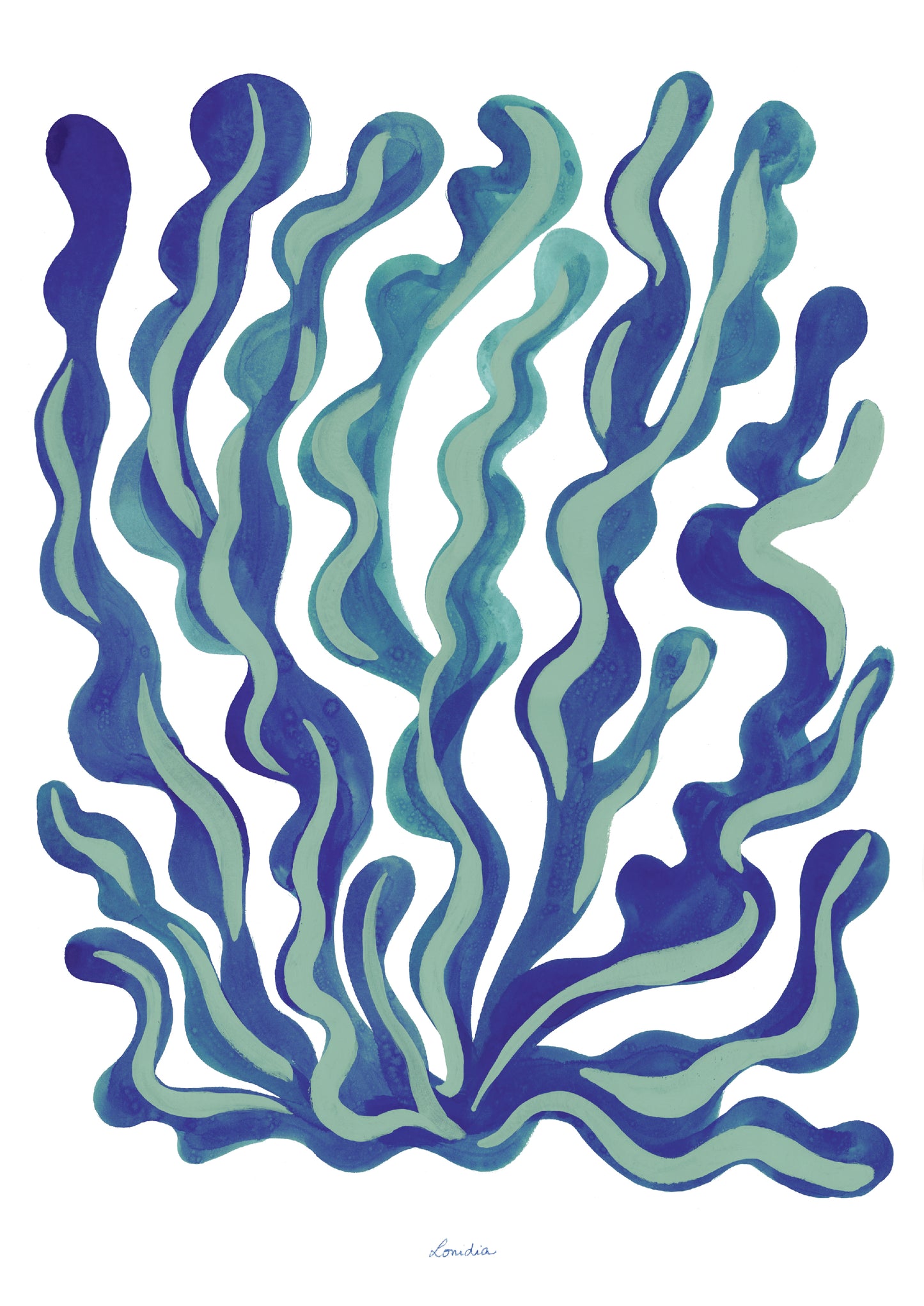 Herbier marin n°6