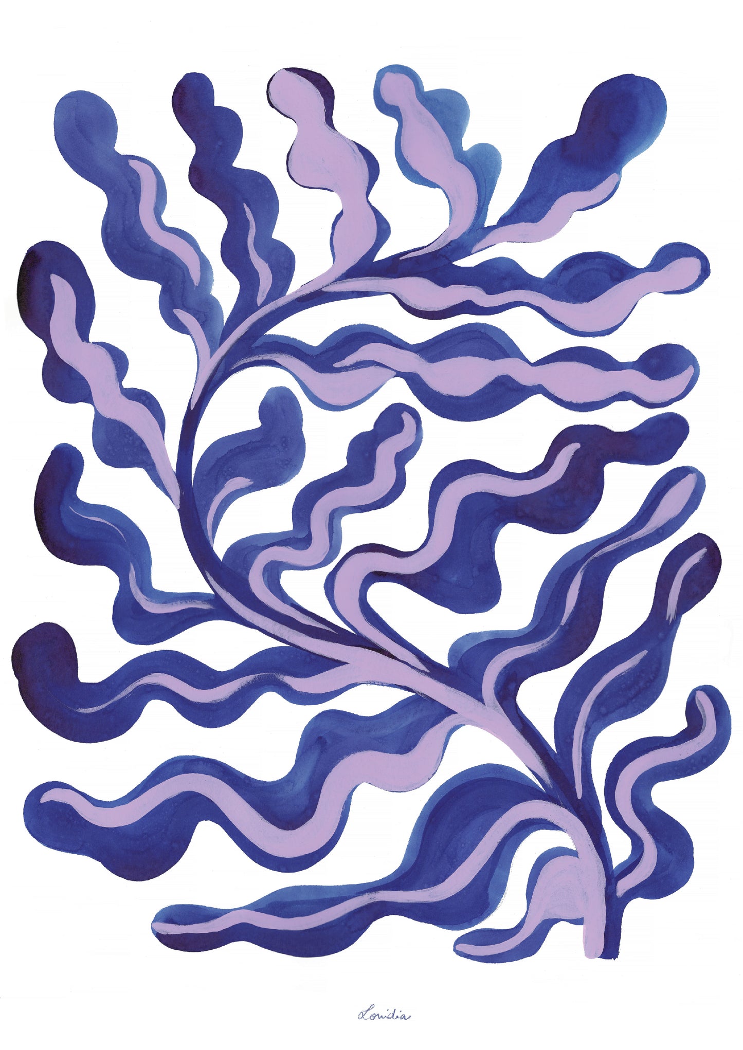 Herbier marin n°5