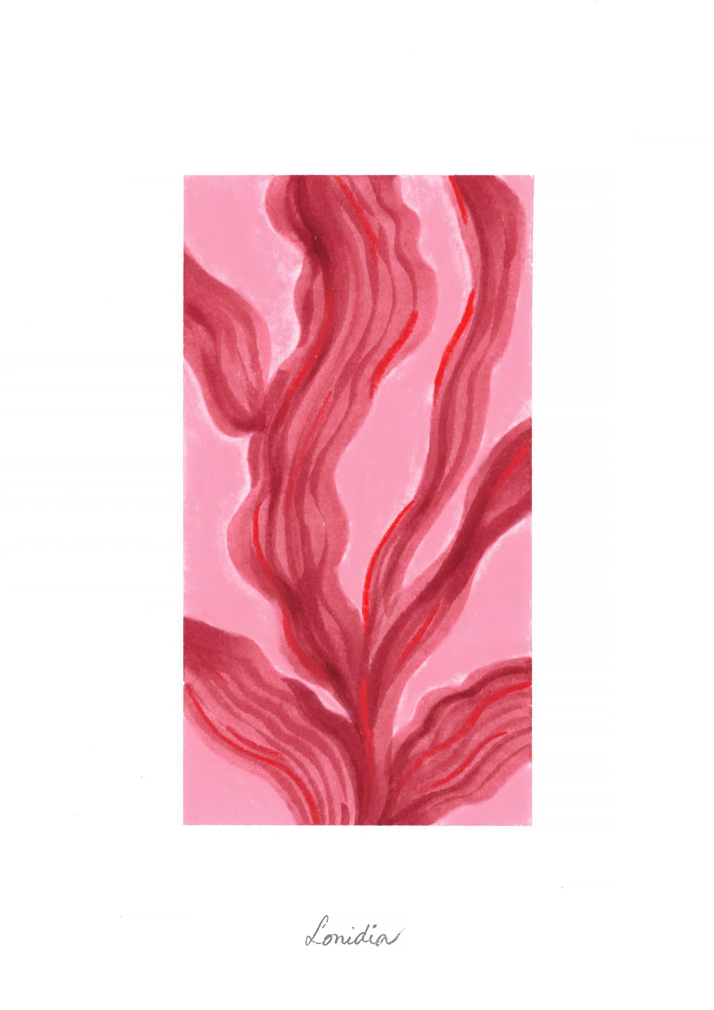 Algues rouges