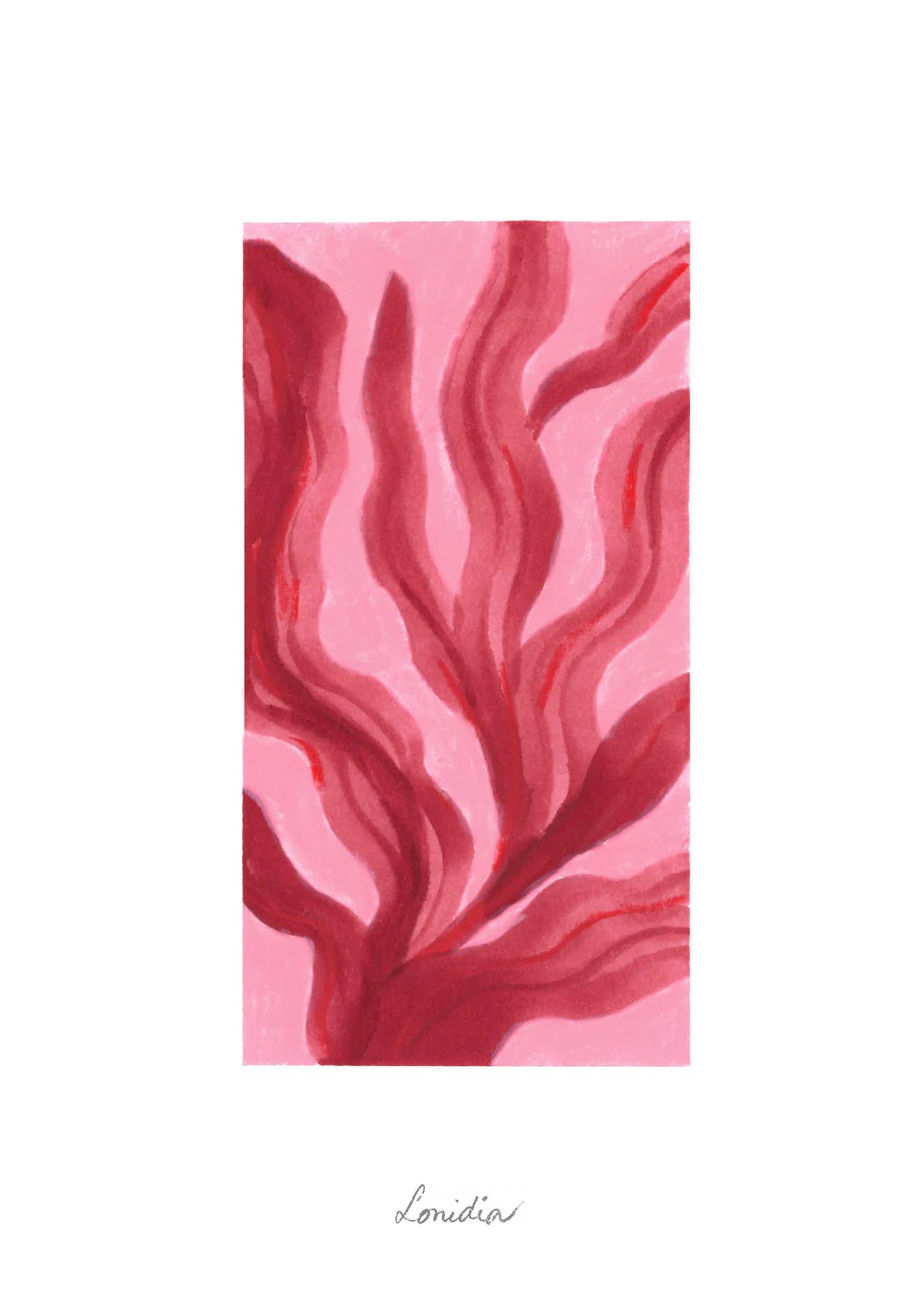 Algues rouges