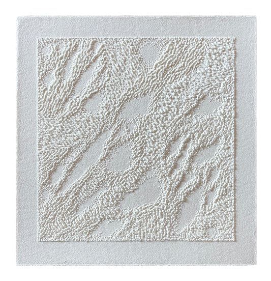 Terra Incognita
