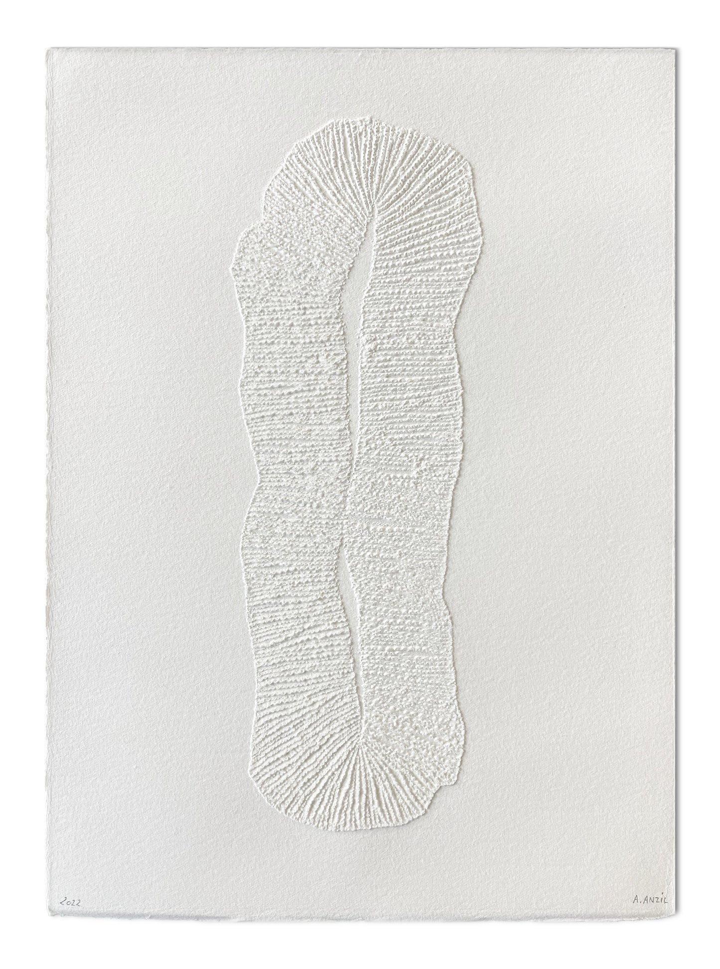 Œuvre “Fungia” d’Antonin Anzil, gravure en pointe sèche sur papier blanc représentant une forme organique texturée.