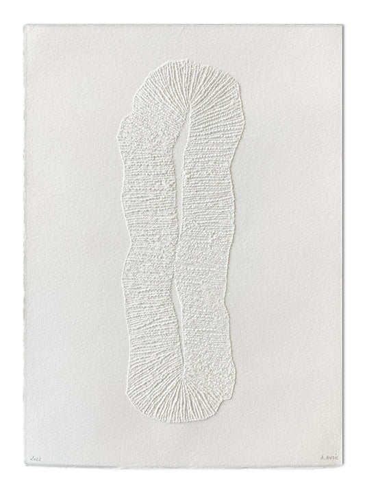 Œuvre “Fungia” d’Antonin Anzil, gravure en pointe sèche sur papier blanc représentant une forme organique texturée.