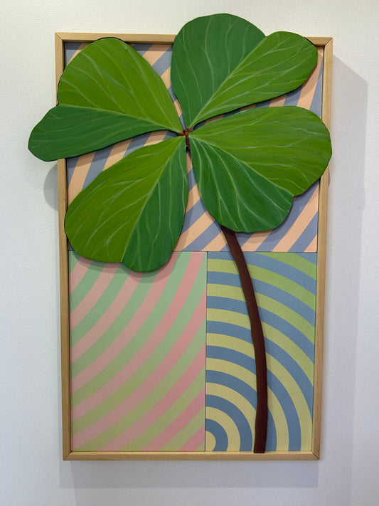 Oxalis
