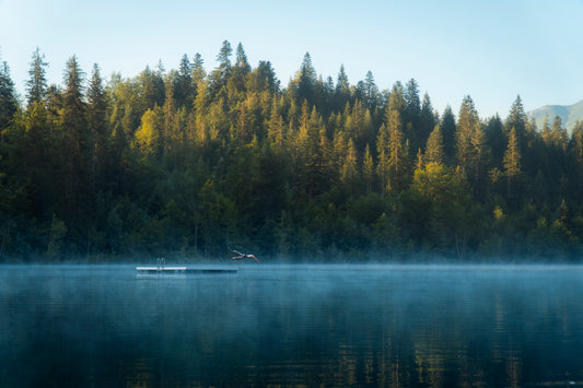 Cette photographie prise en Suisse par le photographe Yorick Serriere nous montre un homme plonger dans un lac de montagne. L’image est coupée en deux, en bas le lac d’un bleu profond et en haut les sapins mi à l’ombre mi au soleil. L’homme plonge dans le lac depuis une plate forme au milieu du lac. La différence de température du lac par rapport à l’ai donne des effets de vapeur.