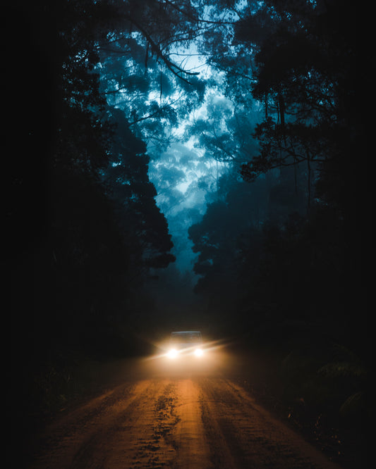 Cette photographie a été prise en Avril 2018 par le photographe Yorick Serriere à Victorai en Australie. Nous y voyons une voiture au centre de l’image qui nous éblouit par ses feux. La photo est prise au milieu d’une route de forêt. La photo est très ombre il fait presque totalement nuit.